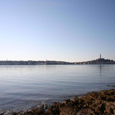 Apartment In Rovinj/Istrien 11533 Экстерьер фото